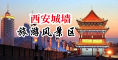 大鸡巴日大逼中国陕西-西安城墙旅游风景区