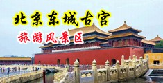 中国的黄色网站操逼的鸡巴插在逼里的不要下载的视频播放高清的中国北京-东城古宫旅游风景区